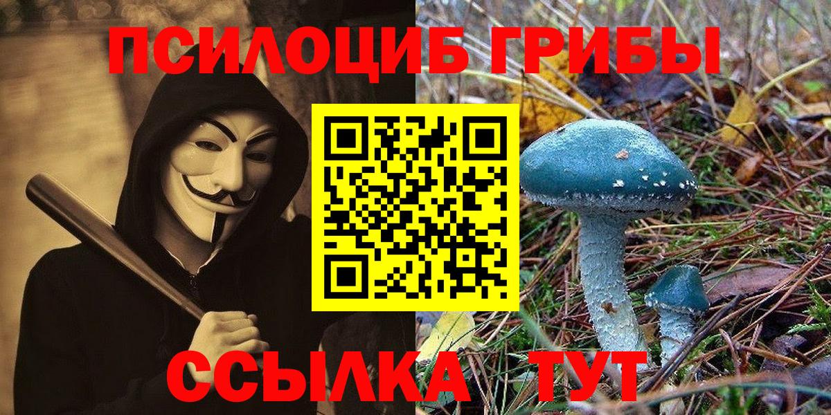 Псилоцибиновые грибы Magic Shrooms  Вход с VPN  Михайловка 