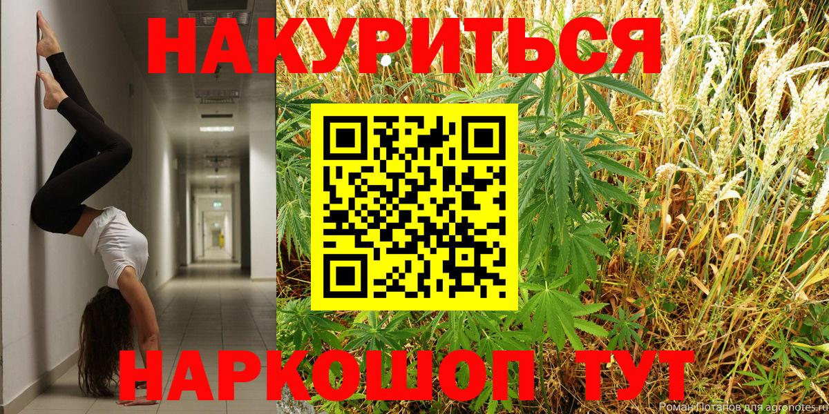 Марихуана сатива Михайловка